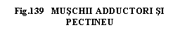 Text Box: .139   MUSCHII ADDUCTORI SI PECTINEU