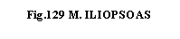 Text Box: .129 M. ILIOPSOAS