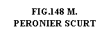 Text Box: .148 M.  PERONIER SCURT