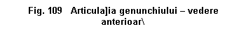 Text Box: . 109 Articula]ia genunchiului  vedere anterioar\

