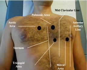 normal chest