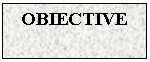 Text Box: OBIECTIVE


