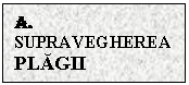 Text Box: A.  SUPRAVEGHEREA PLAGII OPERATORII

