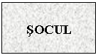 Text Box: SOCUL
