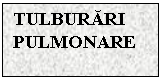 Text Box: TULBURARI PULMONARE