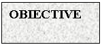 Text Box: OBIECTIVE