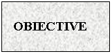 Text Box: OBIECTIVE
