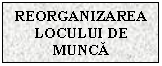 Text Box: REORGANIZAREA LOCULUI DE MUNCA