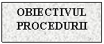 Text Box: OBIECTIVUL PROCEDURII