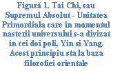 Text Box: ura 9. Tai Chi, sau Supremul Absolut - Unitatea Primordiala care in momentul <a href=