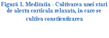 Text Box: ura 15. Meditatia - Cultivarea unei stari de alerta corticala relaxata, in care se cultiva constientizarea