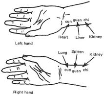 pulses schema.jpg